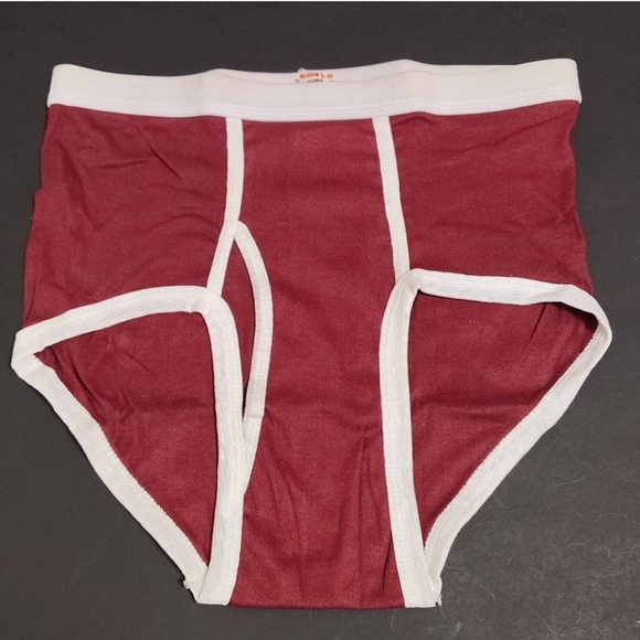 Fruit of the Loom Other - 1 Pair, vintage 80's Fruit of the Loom Men's Fashion Briefs Sz M 34-36